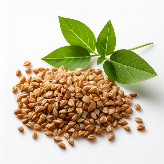 1 x 250g SEEDFUL Buckwheat Slices ( 4 Slices Each Pack )