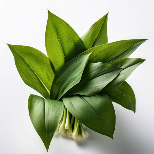 1 x 250g SEEDFUL Slices with Wild Garlic ( 4 Slices Each Pack )